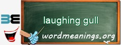 WordMeaning blackboard for laughing gull